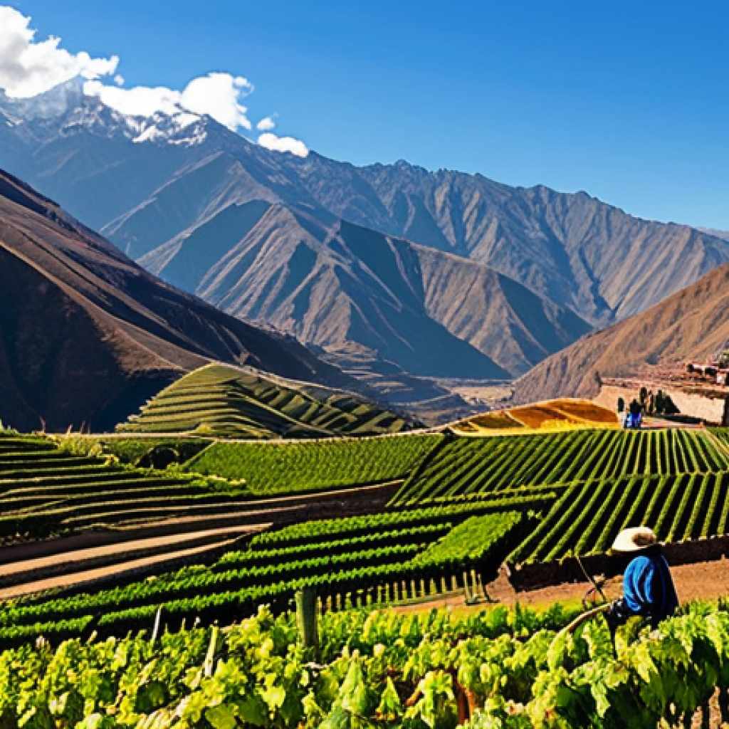 페루 와인과 포도주 문화 - High-Altitude Vineyard**

"Scenic view of a vineyard nestled in the Andes mountains, Peru, at high a...