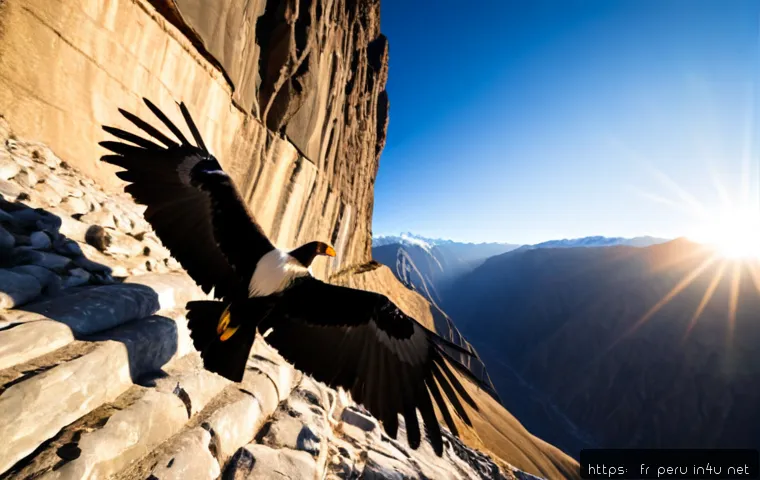 페루에서 만날 수 있는 야생 동물 - Photorealistic Andean condor soaring above Peru’s Colca Canyon at sunrise, enormous dark wings fully...
